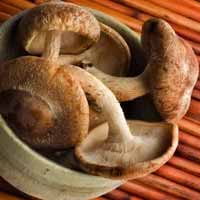 Pursuits: How do we know that there are only four tastes?