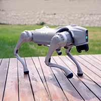 The AI Summit offered a snapshot of today’s India