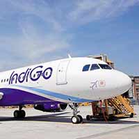 How did Indigo get it so wrong?