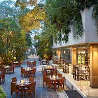 A list of the best meals I ate outside the country this year